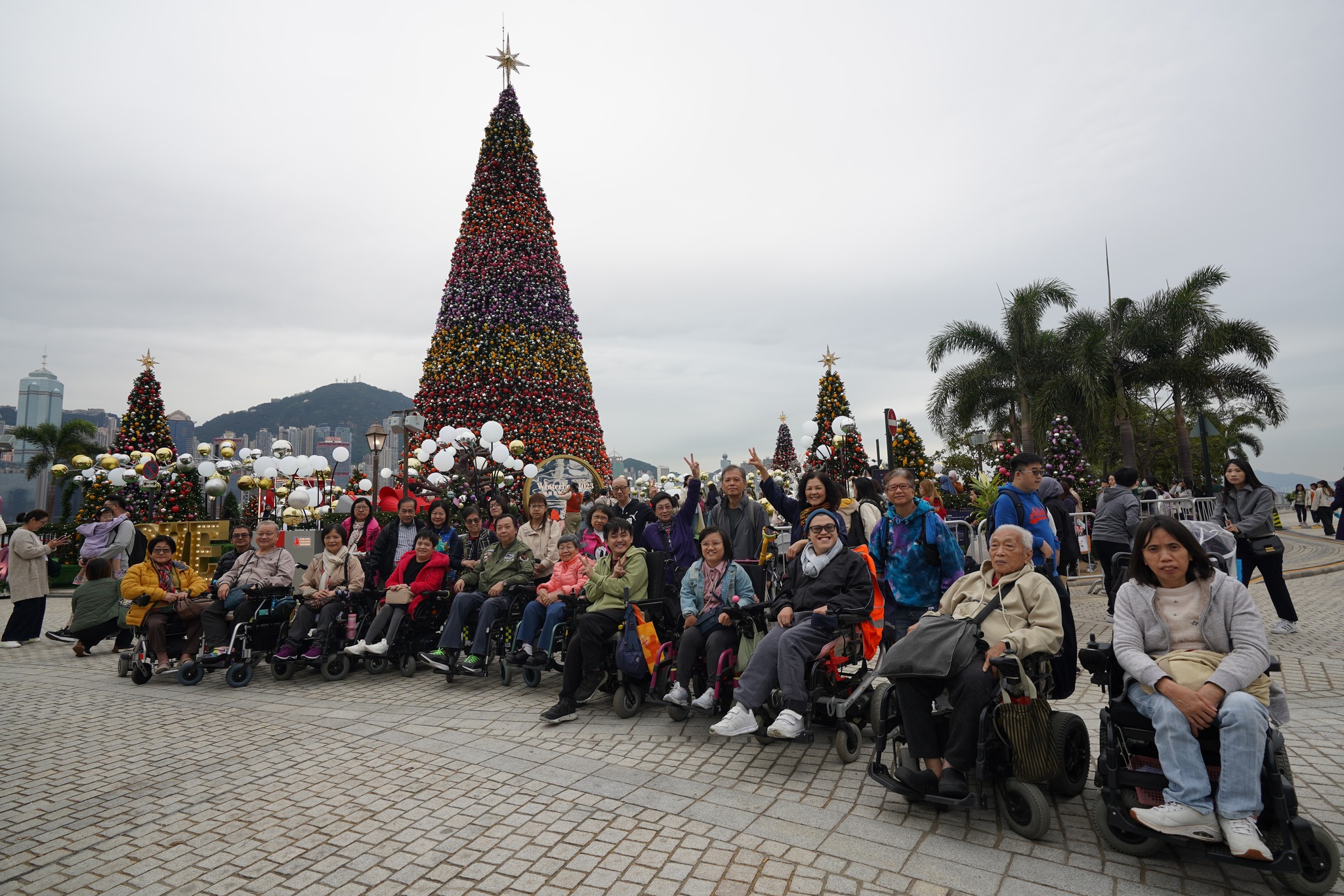 Hong Kong Federation of Handicapped Youth